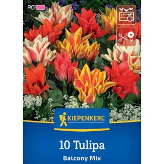Lalele Balcon Mix, 10 bulbi