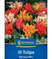 Lalele Balcon Mix, 10 bulbi