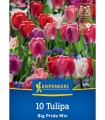 Lalele Big Pride Mix, 10 bulbi