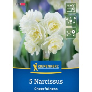 Bulbi narcise Cheerfulness, 5 bulbi