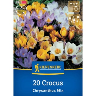 Crocus Botanical Mix - 20 bulbi