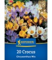 Crocus Botanical Mix - 20 bulbi