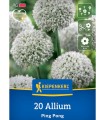 Allium Ping Pong, 20 bulbi