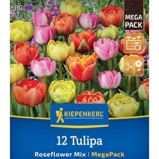 Lalele duble Roseflower Mix