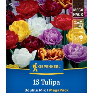 Amestec lalele duble, 15 bulbi