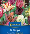 Bulbi de lalele Parrot Mix, amestec de culori