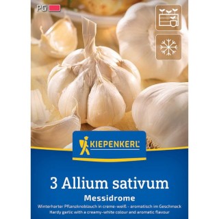 Usturoi Messidrome, 3 capatani
