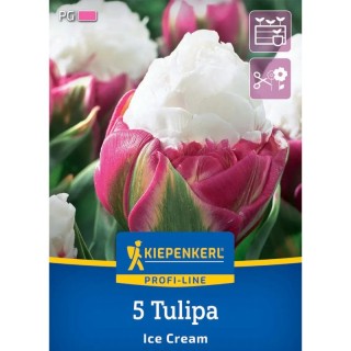 Lalele Ice Cream, 5 bulbi