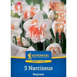 Bulbi narcise Replete, 5 bulbi