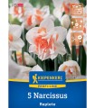 Bulbi narcise Replete, 5 bulbi