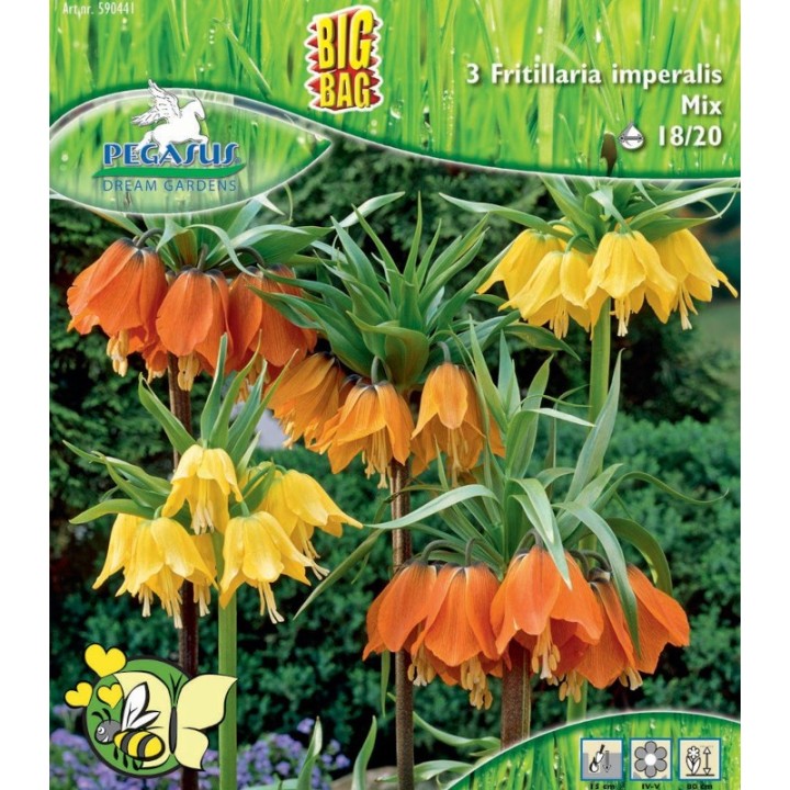 Fritillaria Imperialis Mix, 3 bulbi
