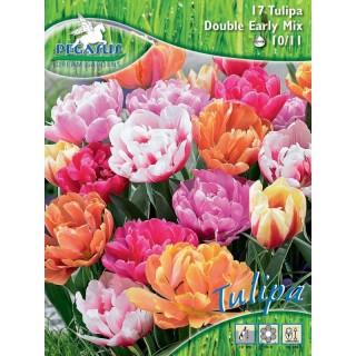 Bulbi lalele Duble Mix, 17 bulbi