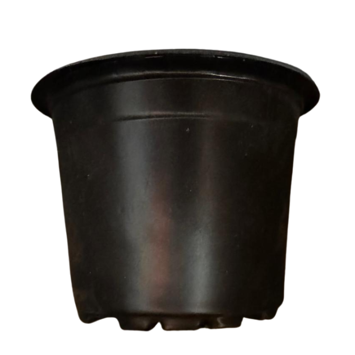 Ghivece productie Ø9 cm | Ideale pentru rasaduri si plante ornamentale