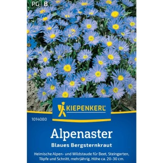 Ochiul boului de munte (Aster alpinus), 30 seminte