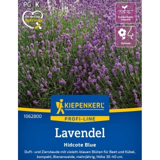Lavanda Hidcote Strain, 40 seminte