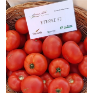 Seminte de tomate Eterei F1, 500 seminte