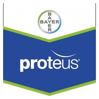 Insecticid Protesu 110 OD. 