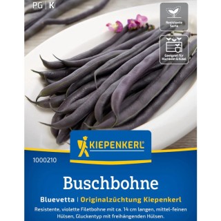 Fasole Bluevetta (pastaie neagra-violet)