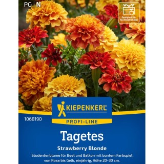 Craite Strawberry Blonde, 20 seminte