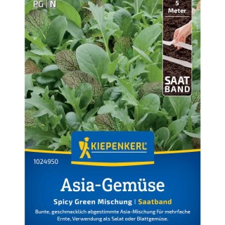 Mix salate asiatice, banda cu seminte
