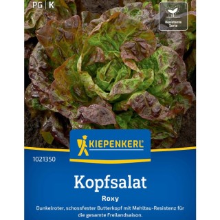 Salata Roxy, 150 seminte