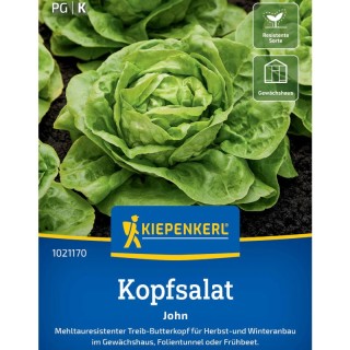 Salata John, 150 seminte