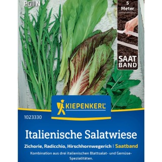Mix salata italian, banda cu seminte