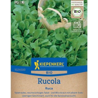 Rucola BIO - 100 seminte