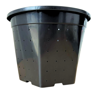 Ghive pentru conifere, 10 litri