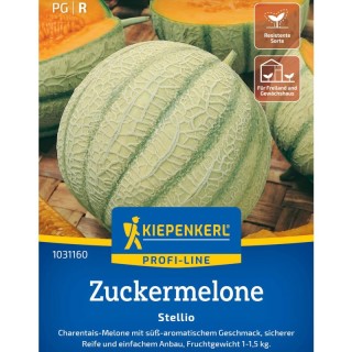 Pepene galben Stellio F1, 5 seminte