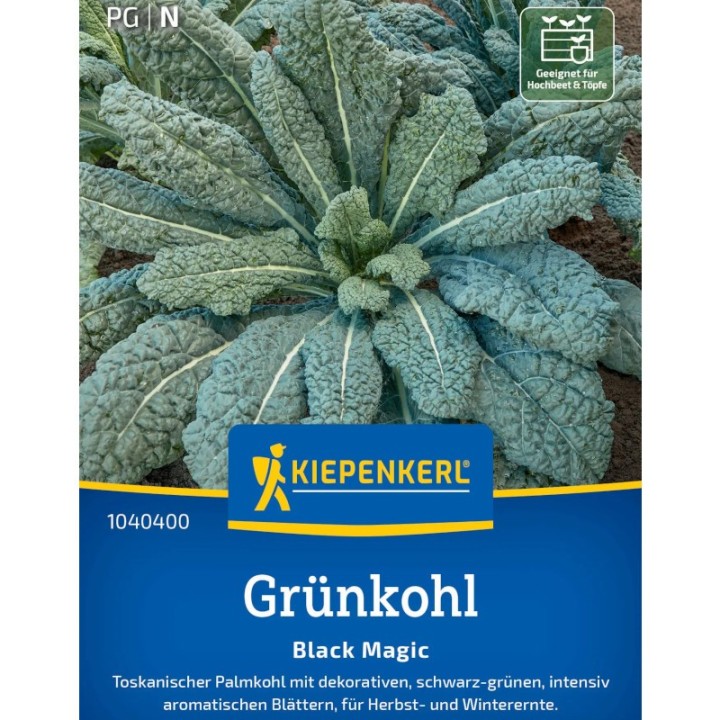 Seminte de varza kale Black Magic