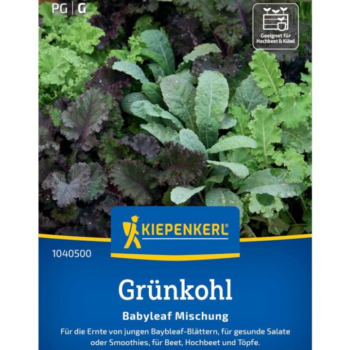 Kale Baby leaf, aprox 200 seminte