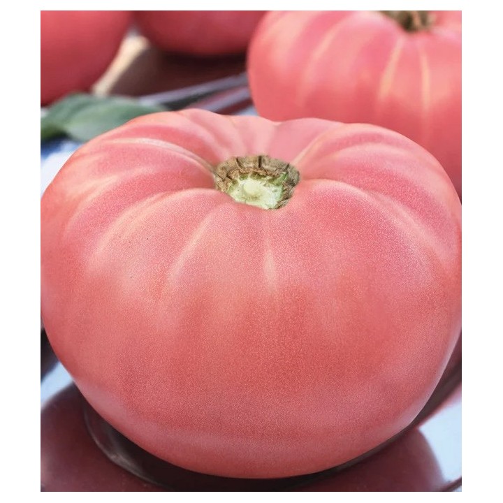 Seminte de tomate Roz de gradina (Rozov Gradinski), 0,5 grame