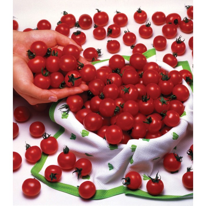 Seminte de tomate Sweet Million F1, 20 seminte, Florian