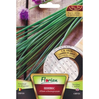 Ceapa de tuns (Chives), disc de seminte, Florian