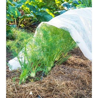 Folie agril anti-inghet 3.2 m x 10 m, 17 g/mp