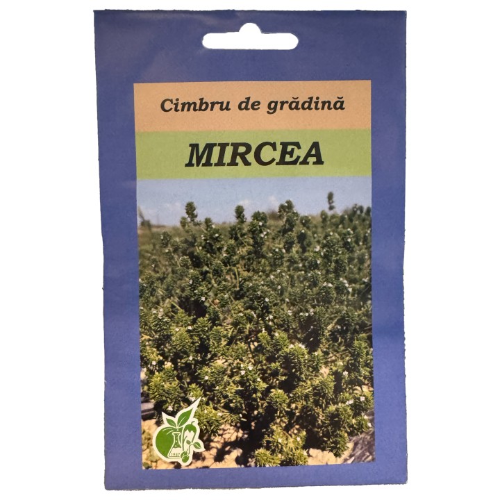 Seminte de Cimbru Mircea, 5 grame