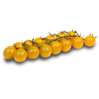 Seminte de tomate Tobcocktail F1, 250 seminte