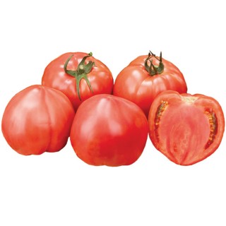 Seminte de tomate Pinkince F1, 1000 seminte