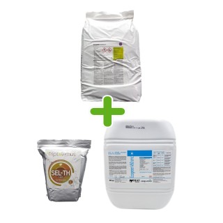 Pachet dezinfectare si refacere sol, Basamid + Triptolemus + Ecogreen