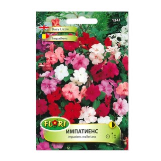 Impatiens walleriana mix (Sporul Casei), Florian