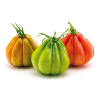 Seminte de tomate Kokoro F1, 250 seminte