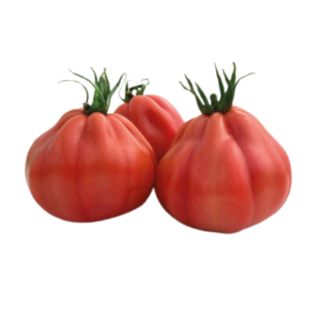 Seminte de tomate Barairo F1, 250 seminte 2