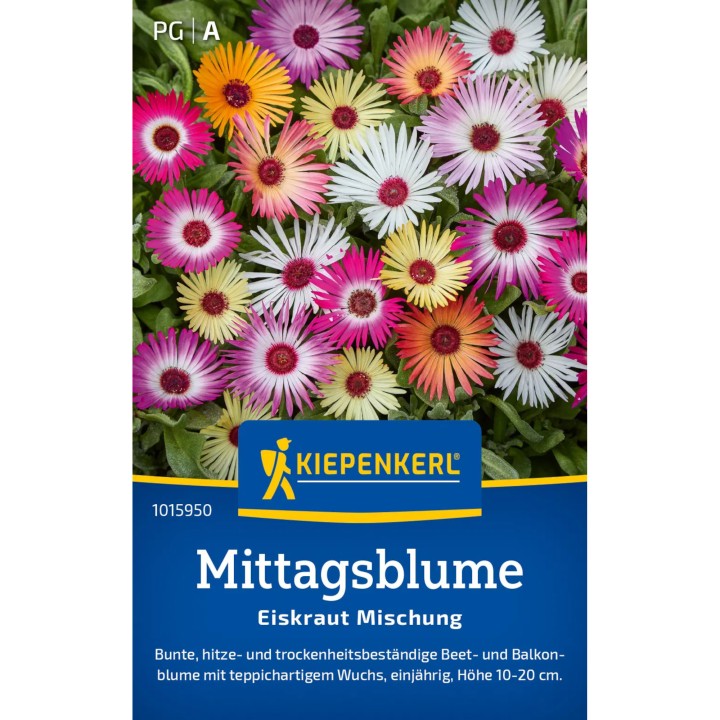 Seminte de Dorotheanthus Mix, hobby
