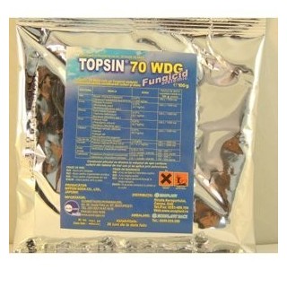 Fungicid Topsin 70 WDG