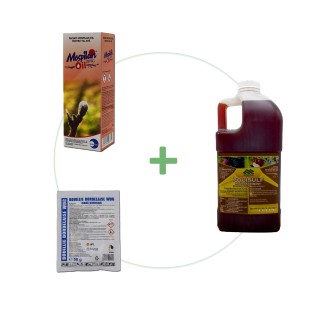 Pachet tratament repaus vegetativ pomi fructiferi – 10 L de apa