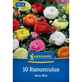 Bulbi Ranunculus Aviv Mix, 10 bulbi