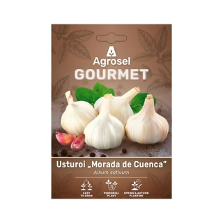 Usturoi Morada de Cuenca, 3 capatani