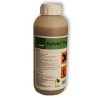 Erbicid Kelvin Top