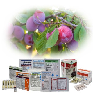 Pachet tratament pomi samburosi (prun, cires, cais), dezmugurit-formare fruct, 10 L de apa
